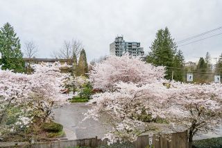Photo 5: 310 12238 224TH Street in Maple Ridge: East Central Condo for sale : MLS®# R2869211