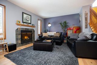 Photo 13: 309 Thibault Street in Winnipeg: St Boniface Residential for sale (2A)  : MLS®# 202008254