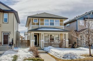 Photo 50: 86 Walden Manor SE in Calgary: Walden Detached for sale : MLS®# A2039078