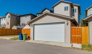 Photo 44: 31 REUNION Grove NW: Airdrie House for sale : MLS®# C4178668