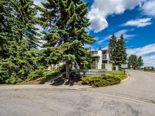 Photo 3: 703 544 Blackthorn Road NE in Calgary: Thorncliffe Row/Townhouse for sale : MLS®# A2088020