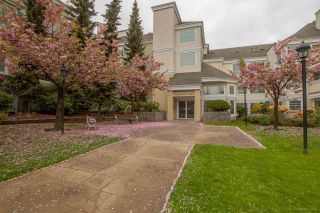 Photo 20: 323 6820 RUMBLE Street in Burnaby: South Slope Condo for sale in "GOVERNOR'S WALK" (Burnaby South)  : MLS®# R2082690