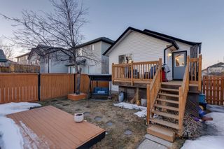 Photo 32: 169 Country Hills Place NW in Calgary: Country Hills Detached for sale : MLS®# A2035817