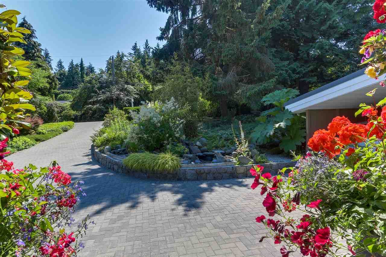 Photo 19: Photos: 815 BURLEY Drive in West Vancouver: Sentinel Hill House for sale : MLS®# R2333274
