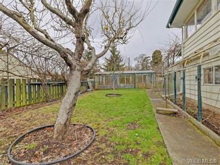 Photo 19: 3478 Lovat Ave in VICTORIA: SE Quadra House for sale (Saanich East)  : MLS®# 752642