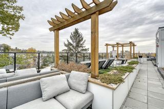 Photo 28: 214 515 4 Avenue NE in Calgary: Bridgeland/Riverside Apartment for sale : MLS®# A2122605
