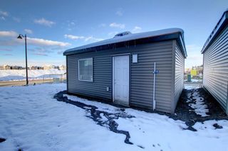 Photo 45: 234 legacy reach Crescent in Calgary: Legacy Semi Detached (Half Duplex) for sale : MLS®# A2021082