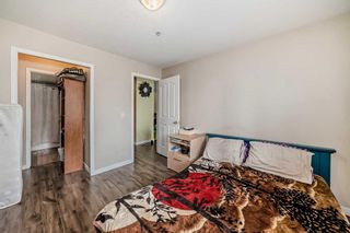 Photo 20: 2108 6224 17 Avenue SE in Calgary: Red Carpet Apartment for sale : MLS®# A2134135