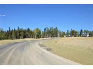 Photo 7: LOT 7 BELL Place in Mackenzie: Mackenzie -Town Land for sale in "BELL PLACE" : MLS®# N227300