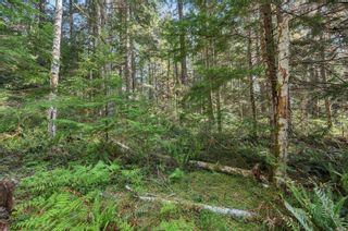 Photo 34: DL 1208 Whaletown Rd in Cortes Island: Isl Cortes Island Mixed Use for sale (Islands)  : MLS®# 932806