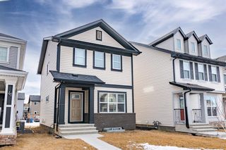 Photo 1: 37 Copperpond Avenue SE in Calgary: Copperfield Detached for sale : MLS®# A1175713