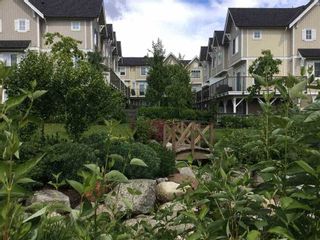 Photo 24: 69 31032 WESTRIDGE Place in Abbotsford: Abbotsford West Townhouse for sale in "Harvest" : MLS®# R2084069