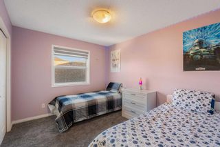 Photo 37: 206 Sagewood Grove SW: Airdrie Detached for sale : MLS®# A2098818