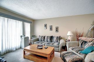 Photo 4: 169 Falsby Road NE in Calgary: Falconridge Semi Detached (Half Duplex) for sale : MLS®# A1252532