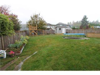 Photo 5: 10558 245th in Maple Ridge: Albion House for sale or rent