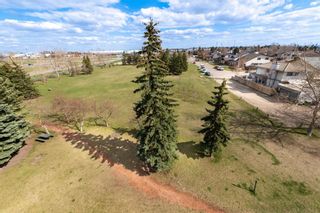 Photo 26: 503 30 Mchugh Court NE in Calgary: Mayland Heights Apartment for sale : MLS®# A2107366