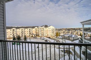 Photo 47: 2413 333 Taravista Drive NE in Calgary: Taradale Apartment for sale : MLS®# A2015874