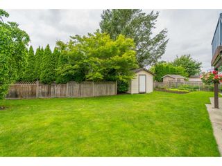 Photo 21: 5089 214A Street in Langley: Murrayville House for sale in "Murrayville" : MLS®# R2472485