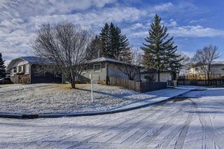 Photo 2: 505 42 Street SE in Calgary: Forest Heights Detached for sale : MLS®# A1165054