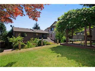 Photo 17: 2541 JASMINE Court in Coquitlam: Summitt View House for sale : MLS®# V1130746