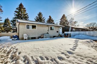 Photo 39: 132 Foritana Road SE in Calgary: Forest Heights Detached for sale : MLS®# A2034683