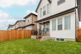 Photo 43: 1103 Copperfield Boulevard SE in Calgary: Copperfield Detached for sale : MLS®# A1245535