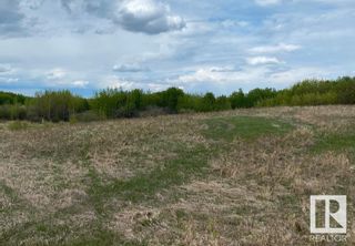 Photo 7: 265 20212 TWP RD 510: Rural Strathcona County Vacant Lot/Land for sale : MLS®# E4316794