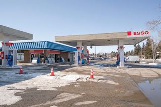 Photo 41: 1204 Lake Twintree Drive SE in Calgary: Lake Bonavista Detached for sale : MLS®# A2032946
