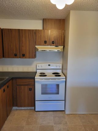 Photo 7: 301 75 Temple Boulevard W: Lethbridge Apartment for sale : MLS®# A2034020