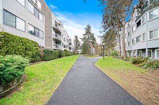 Photo 22: 203 9584 MANCHESTER Drive in Burnaby: Cariboo Condo for sale in "Brookside Park" (Burnaby North)  : MLS®# R2828329