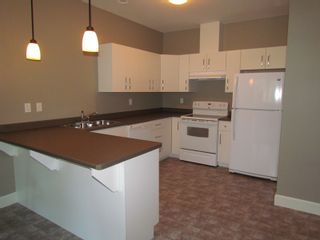 Photo 1: #3 36189 LOWER SUMAS MTN RD in ABBOTSFORD: Abbotsford East Condo for rent in "MOUNTAIN FALLS" (Abbotsford) 