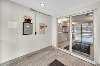 Photo 20: 5105 70 Panamount Drive NW in Calgary: Panorama Hills Apartment for sale : MLS®# A2102179