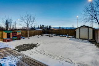Photo 25: 155 Willowbrook Drive NW: Airdrie Detached for sale : MLS®# A2012945