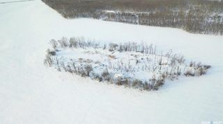 Photo 21: 1/2 Section RM of Good Lake in Good Lake: Farm for sale (Good Lake Rm No. 274)  : MLS®# SK916747