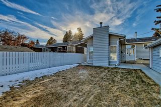 Photo 46: 5012 Nolan Road NW in Calgary: North Haven Detached for sale : MLS®# A2038006