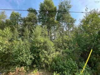 Photo 11: 450 Wellington Street in Pictou: 107-Trenton, Westville, Pictou Vacant Land for sale (Northern Region)  : MLS®# 202223704
