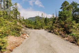 Photo 10: LOT B Hawkes Rd in Ucluelet: Vacant Land for sale : MLS®# 956705