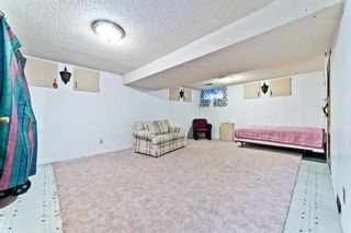Photo 23: 8531 47 Avenue NW in Calgary: Bowness Detached for sale : MLS®# A1219024