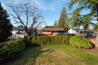 Photo 25: 1253 ELLIS Drive in Port Coquitlam: Birchland Manor House for sale : MLS®# R2762817