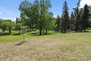Photo 38: 435 Tache Avenue NW in Calgary: Thorncliffe Detached for sale : MLS®# A2053618