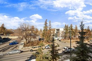 Photo 25: 309 1521 26 Avenue SW in Calgary: South Calgary Apartment for sale : MLS®# A2034542