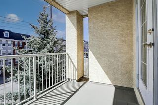 Photo 19: 203 2212 34 Avenue SW in Calgary: South Calgary Apartment for sale : MLS®# A1212448