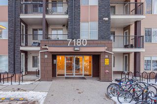 Main Photo: 403 7180 80 Avenue NE in Calgary: Saddle Ridge Apartment for sale : MLS®# A2110083
