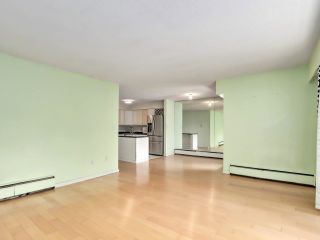 Photo 8: 307 2255 YORK Avenue in Vancouver: Kitsilano Condo for sale in "THE BEACH HOUSE" (Vancouver West)  : MLS®# R2881730