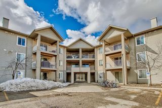 Photo 2: 208 1000 Citadel Meadow Point NW in Calgary: Citadel Apartment for sale : MLS®# A2050408