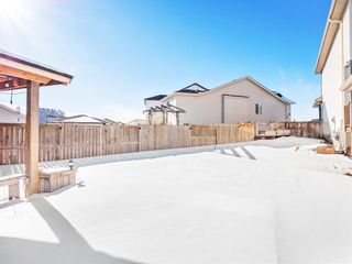 Photo 21: 79 Skyview Springs Manor NE in Calgary: Skyview Ranch Detached for sale : MLS®# A2030750