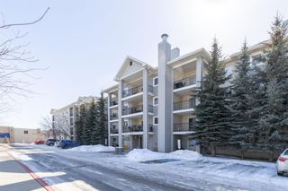 Photo 2: 2115 4975 130 Avenue SE in Calgary: McKenzie Towne Apartment for sale : MLS®# A2035121