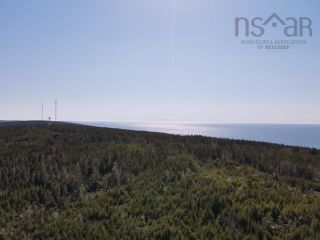 Photo 4: Lot 2 Highway 217 in Tiverton: Digby County Vacant Land for sale (Annapolis Valley)  : MLS®# 202209429