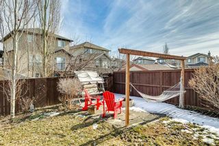 Photo 35: 255 Prairie Springs Crescent SW: Airdrie Detached for sale : MLS®# A2117101