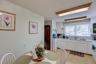 Photo 12: 87 Mardale Crescent NE in Calgary: Marlborough Detached for sale : MLS®# A1214099